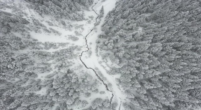 Giresun yaylaları beyaz örtüyle kaplandı