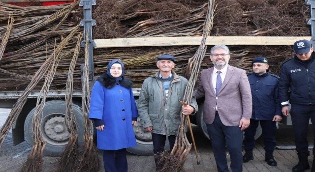 Gölpazarında 13 bin 800 fidan toprakla buluşuyor