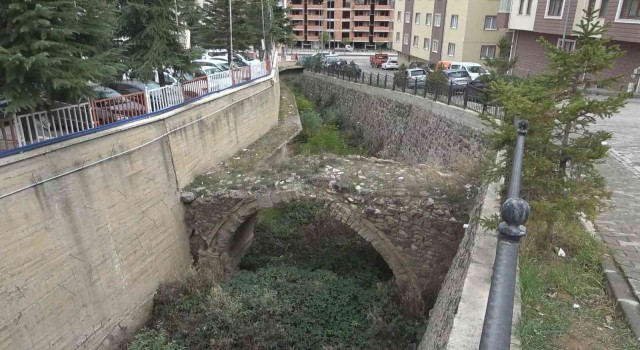 Gümüşhanede 130 yıllık tescilli tarihi kemer köprü kaderine terk edildi