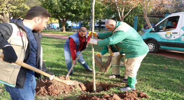 Haliliyede peyzaj çalışmaları ile parklar yeşilleniyor