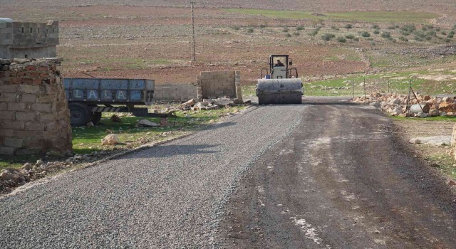 Haliliyeye yeni yollar kazandırılıyor