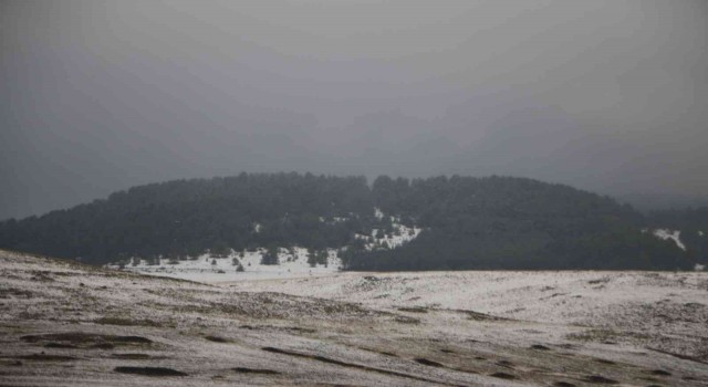 Hanak ve Çamlıçatak ormanlarında kar ve sis manzarası havadan görüntülendi