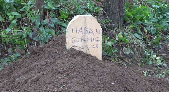 Hasan Germiçin ölümünün aydınlatılması için başsavcılık özel ekip kurdu