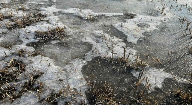 Hava sıcaklığının eksi 5e düştüğü Erzurum buz tuttu