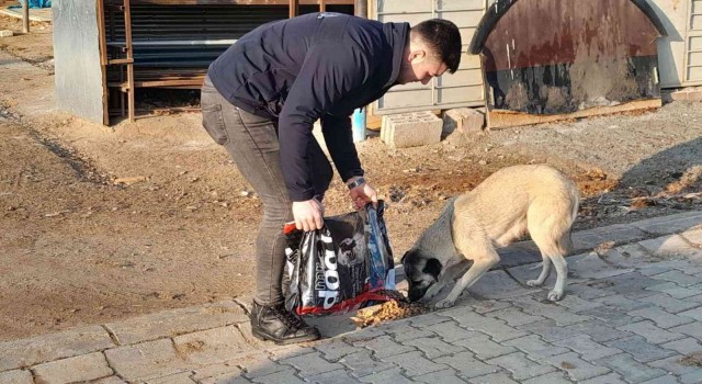 Hayvan dostu belediye, sokak hayvanlarının mama ve suyunu eksik etmiyor