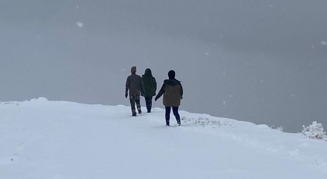 Hayvanları koruma timi kar kış dinlemiyor