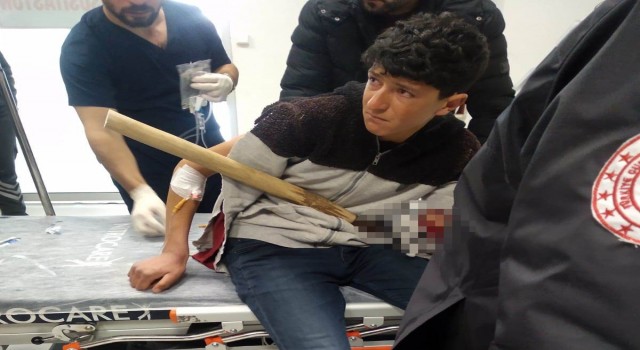 Hayvanlarına ot almaya çalışırken koluna yabanın dişleri battı