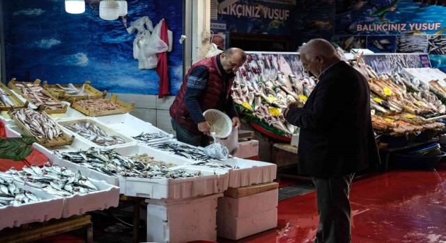 İstanbulda balık tezgahlarının en ucuz balığı 70 TL ile hamsi oldu