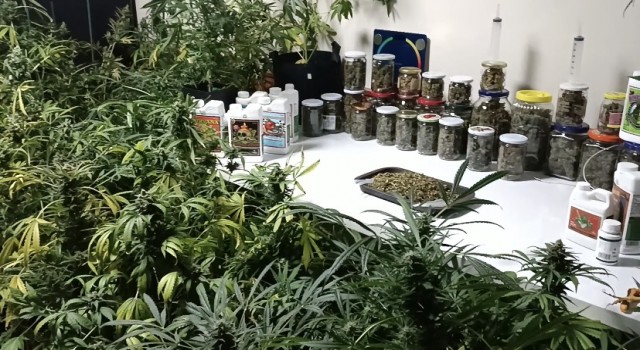 İstanbulun göbeğindeki uyuşturucu serasına baskın: Kavanozlardan 15 kilogram marihuana çıktı