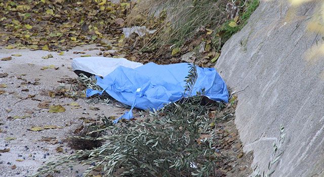 İzmir Buca'da Zeytin toplamak için çıktığı ağaç sonu oldu