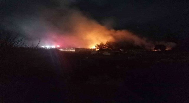 İzmirde alevler geceyi aydınlattı: Barakalar yangında kullanılamaz hale geldi
