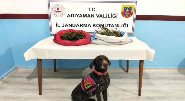Jandarma uyuşturucu tacirlerine geçit vermiyor