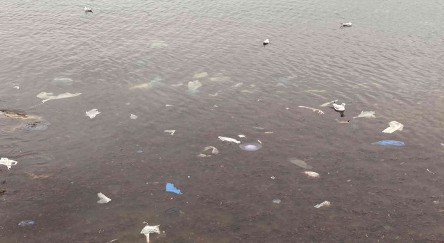 Kadıköyü lodos vurdu, Caddebostan sahilini plastik atıklar kapladı