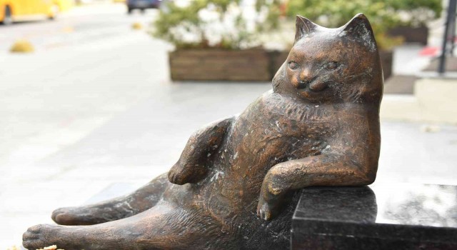 Kadıköyün kedisi Tombili yuvasına döndü
