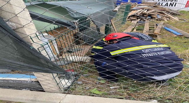 Kafası çitlere sıkışan yavru köpeği itfaiye kurtardı
