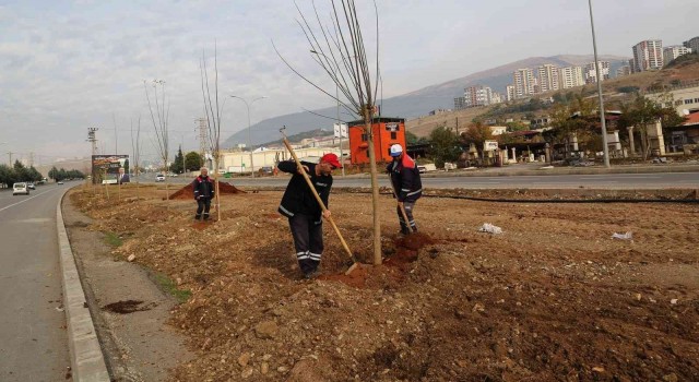 Kahramanmaraşta 10 bin ağaç ve yüz binlerce çiçek toprakla buluşturuldu