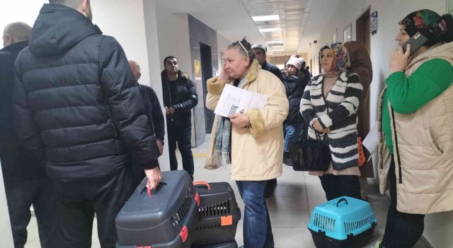 Karabükte evcil hayvanlar için çip ve aşı yoğunluğu yaşanıyor
