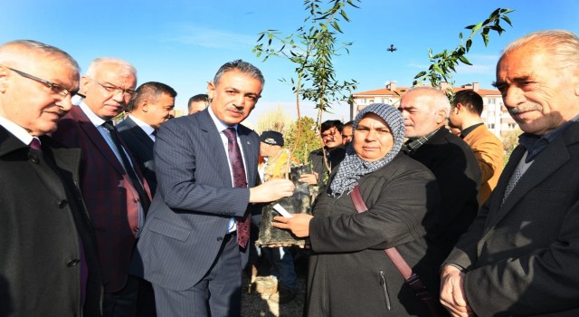 Karamanda çiftçilere 80 bin adet fidan dağıtıldı