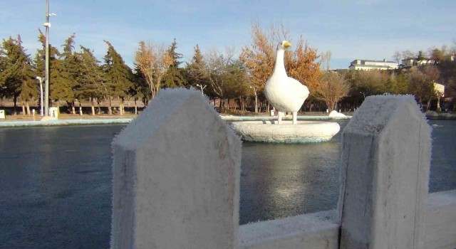 Karsta süs havuzları dondu, araçlar buz tuttu