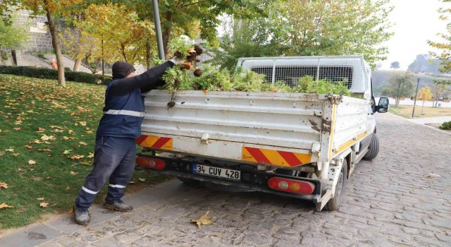 Kavşak ve refüjler 200 bin lale ile süslenecek