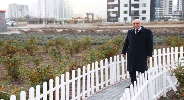 Keçiörenin lavanta ve gül bahçesi genişletiliyor