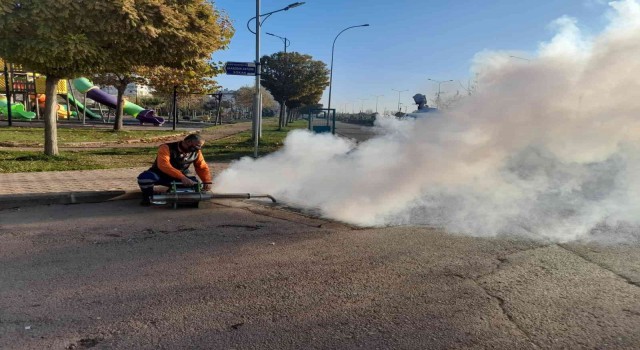 Kiliste ilaçlama çalışmaları başladı