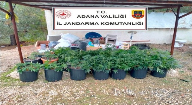 Kiraladıkları villada iklimlendirme sistemiyle kenevir yetiştirmişler