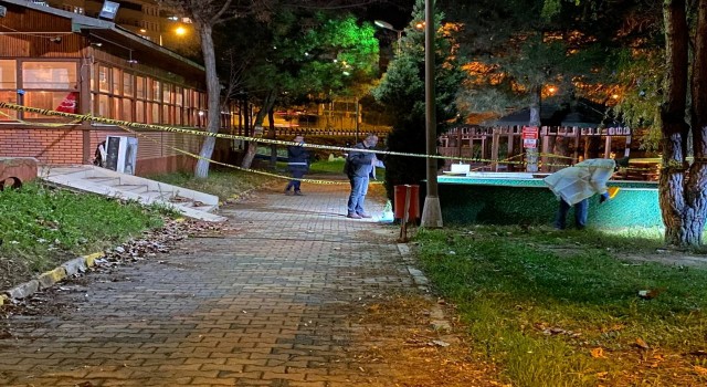 Kocaelide kadın cinayeti: Restoranda silahla vurularak öldürüldü