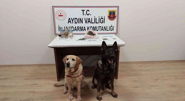 Koçarlıda uyuşturucu satıcılarına operasyon