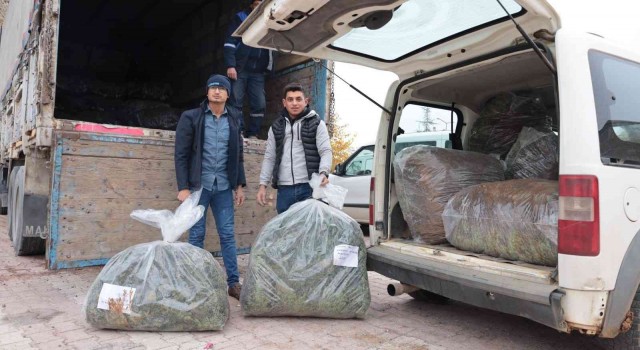 Konya Büyükşehirin üreticiye lavanta fidesi desteği sürüyor