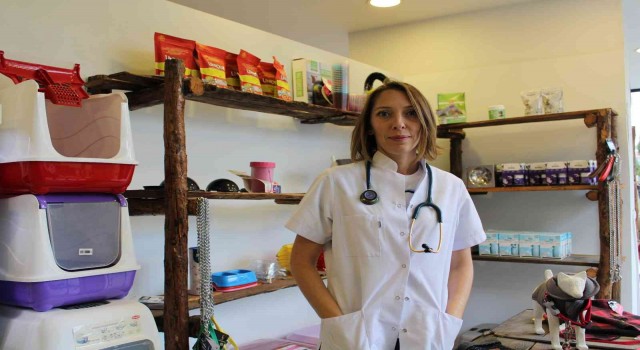 Köpeklerde bilinçsiz tırnak kesimine dikkat