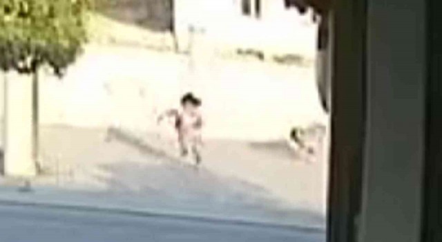 Köpekten kaçan küçük kız aracın altında kalmaktan son anda kurtuldu