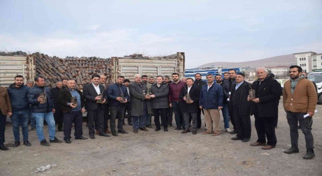 Kozlukta çiftçilere 35 bin fıstık fidanı dağıtıldı
