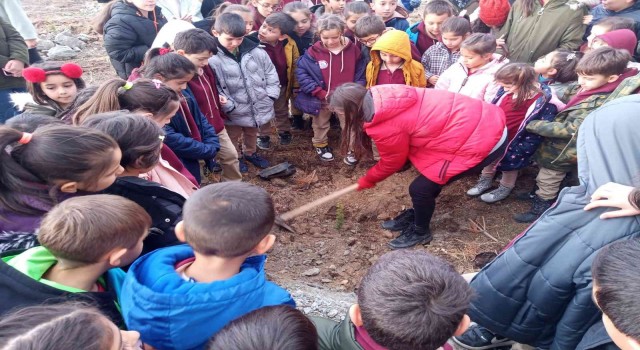 Kütahya Milli Eğitim Vakfı Halime Erkan İlkokulunda fidan dikim etkinliği