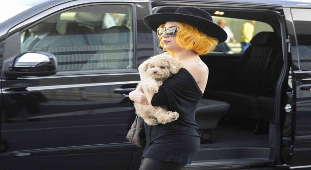 Lady Gaganın köpeklerini kaçıran saldırgana 21 yıl hapis cezası