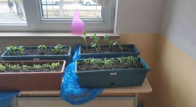Lise öğrencileri Yerel Tohum Projesini hayata geçirdi