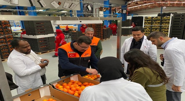 Malezya heyeti narenciye ihracatı için Adanada