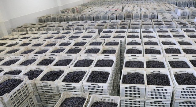 Marmarabirlikten 150 milyon lira ödeme