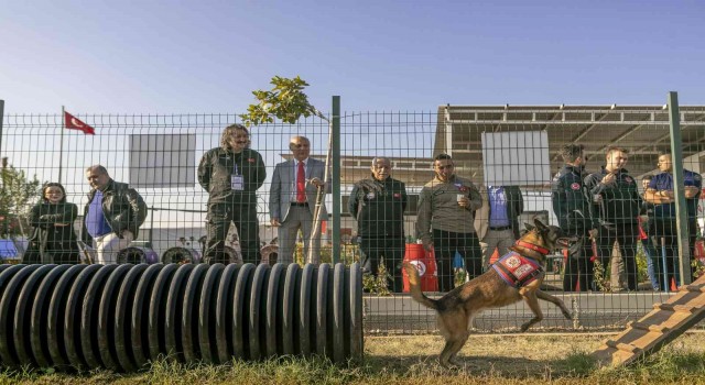 Mersinde Köpekli Arama Kurtarma Çalıştayı sona erdi