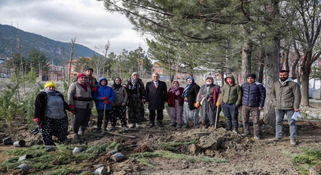 Millet Bahçesinde peyzaj çalışmaları başladı