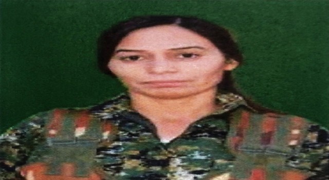 MİT, PKK/YPGnin sözde Ayn İsa sorumlusunu etkisiz hale getirdi