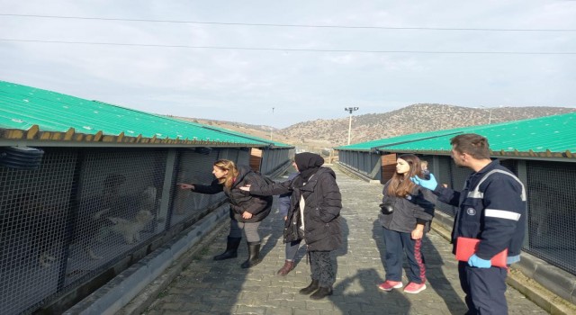 Müdür Ali Bilcan, sokak hayvanları için yapılacak projeleri anlattı