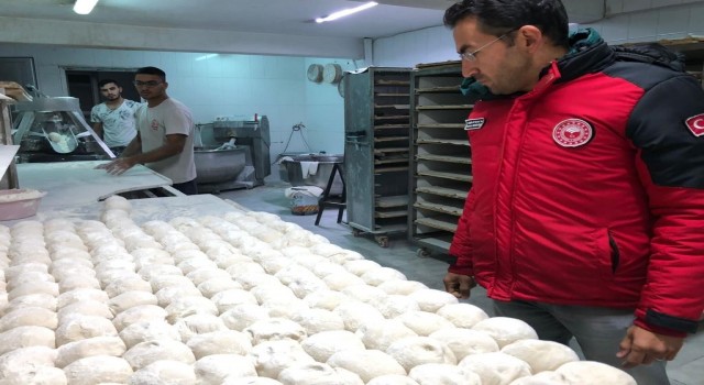 Muğlada 478 iş yeri denetlendi