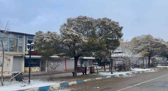 Muradiyede kar yağışı