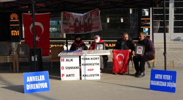 Muşta ailelerin HDP önündeki evlat nöbeti sürüyor