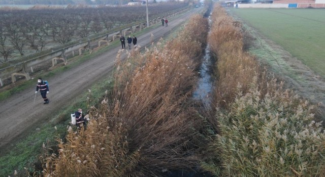 Nazilli Belediyesinden larva ile 365 gün mücadele