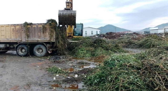 Ortacada yeşil alanlarda bakım çalışması