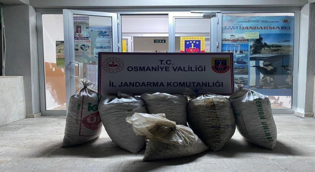 Osmaniyede 300 kilo yerfıstığı çalan 2 şüpheli yakalandı