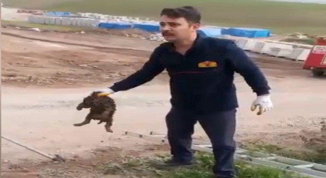 Osmaniyede kanalizasyona düşen köpek kurtarıldı