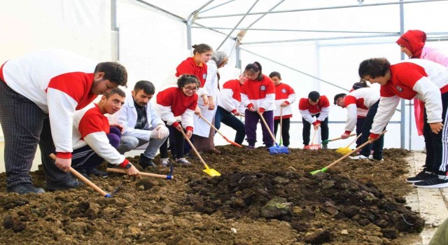 Özel bireyler için sera